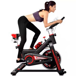 Bicicleta de Spinning Fija para Hogar Fitness PS-EB006 | ENDEAVOR ®