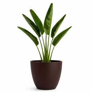 Maceta grande de plástico lisa 40